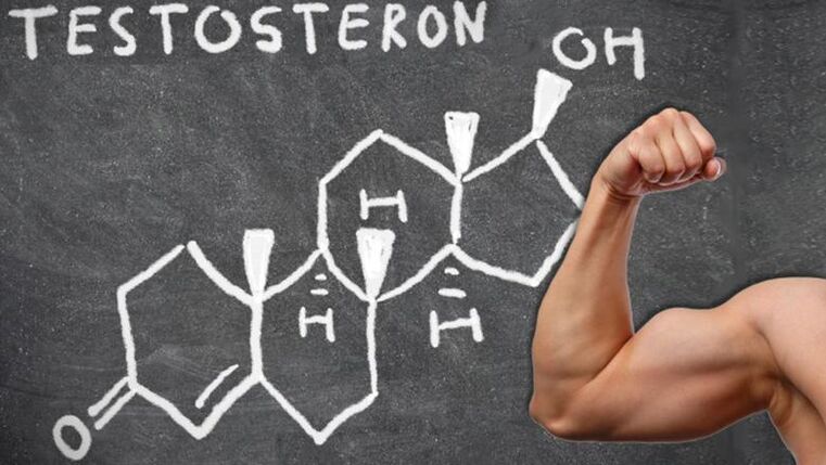 Testosterone is the most important male sex hormone